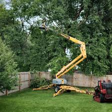 Reliable La Crosse, WI Tree Removal and Landscaping Services Solutions